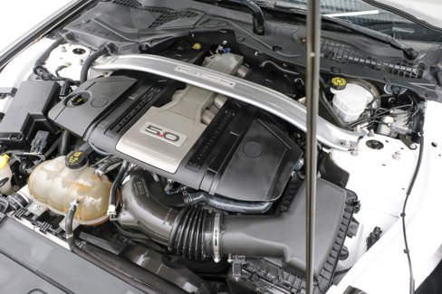 Used 2019 Ford Mustang GT Premium w/ Equipment Group 401A image 50