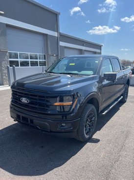 Certified 2025 Ford F150 XLT w/ Equipment Group 302A MID image 2