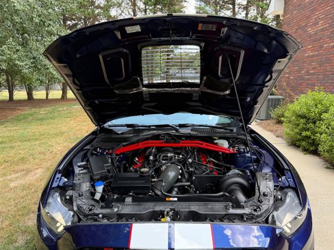 Used 2020 Ford Mustang Shelby GT350R w/ GT350R Equipment Group 920A image 66