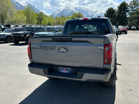 New 2025 Ford F150 STX w/ STX Black Appearance Package image 6