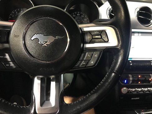 Used 2016 Ford Mustang Premium w/ Equipment Group 201A image 21