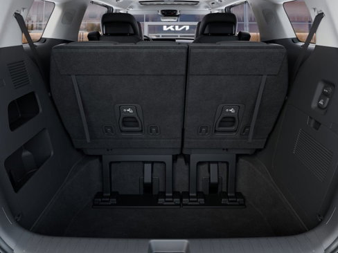 New 2026 Kia Carnival SX Prestige image 19