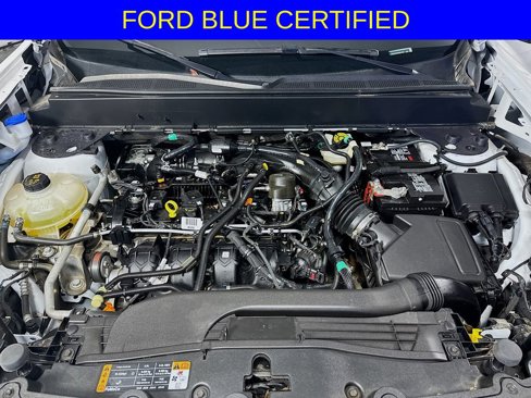 Certified 2024 Ford Maverick XLT w/ Equipment Group 300A Standard image 26