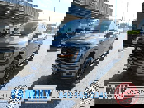 New 2025 Ford F150 STX image 1