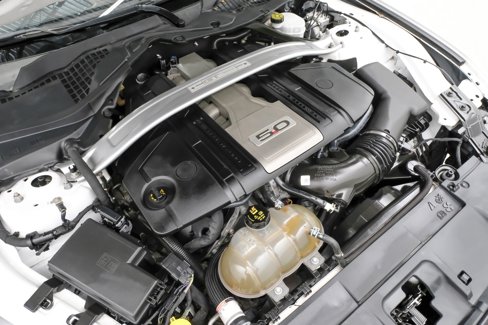 Used 2019 Ford Mustang GT Premium w/ Equipment Group 401A image 52