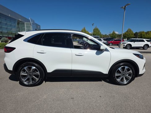Used 2024 Ford Escape Platinum w/ Premium Technology Package image 8