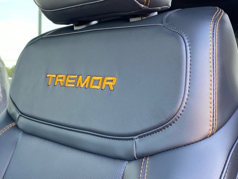 New 2025 Ford Expedition Tremor image 9