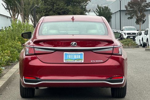 New 2025 Lexus ES 300h w/ Premium Package image 5