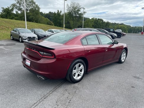 Used 2019 Dodge Charger SXT w/ Leather Interior Group image 8