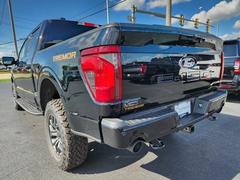 New 2025 Ford F150 Tremor image 27