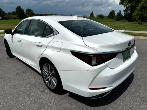Used 2019 Lexus ES 350 image 7