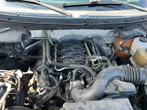 Used 2011 Ford F150 XLT w/ XLT Chrome Pkg image 14