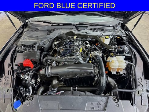Certified 2024 Ford Mustang Premium image 28
