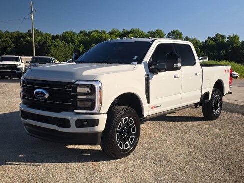 Used 2025 Ford F250 Platinum image 1