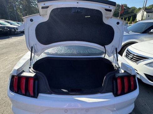 Used 2021 Ford Mustang GT w/ Equipment Group 301A image 12