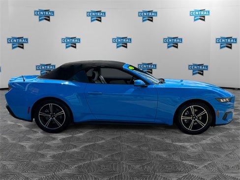 Used 2024 Ford Mustang Premium image 6