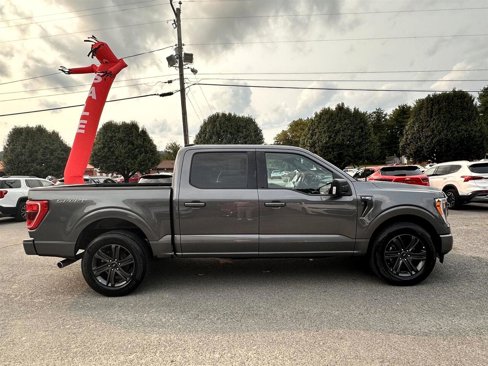Used 2023 Ford F150 XLT w/ Equipment Group 302A High image 4