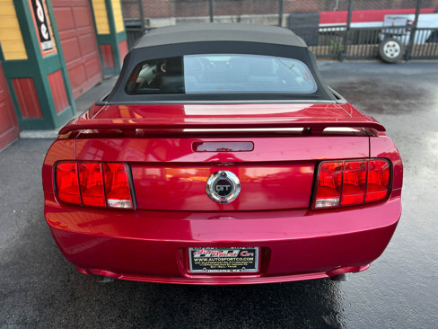 Used 2005 Ford Mustang GT Premium image 7