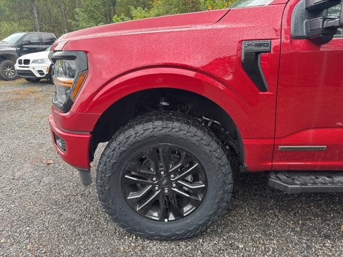 New 2025 Ford F150 XLT w/ Equipment Group 303A High image 6