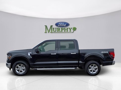 New 2025 Ford F150 XLT w/ Equipment Group 301A Standard image 1