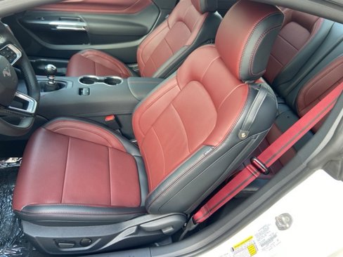 New 2025 Ford Mustang GT image 8