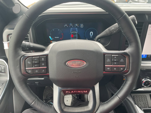 New 2025 Ford F250 Platinum image 9