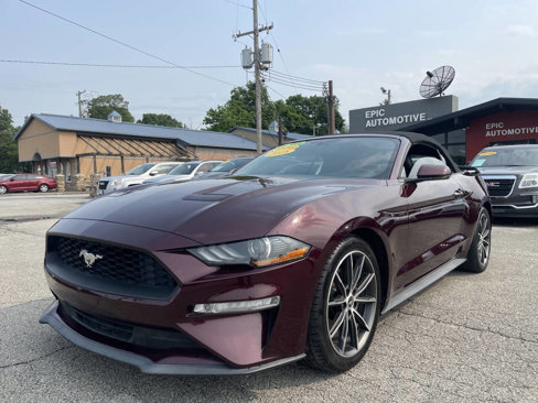 Used 2018 Ford Mustang Premium w/ Equipment Group 201A image 1
