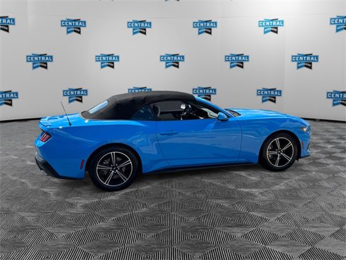 Used 2024 Ford Mustang Premium image 5