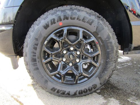 New 2025 Ford F150 XLT w/ Equipment Group 302A MID image 13