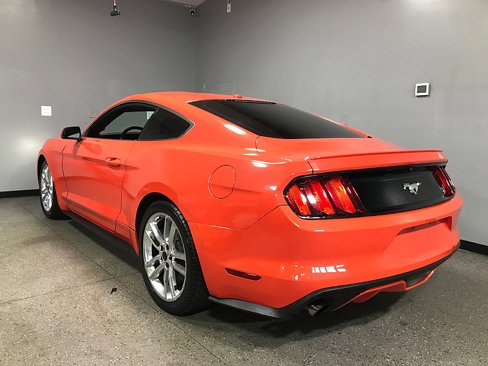 Used 2016 Ford Mustang Premium w/ Equipment Group 201A image 5