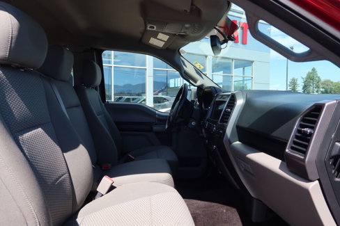 Used 2017 Ford F150 XLT w/ Equipment Group 302A Luxury image 16