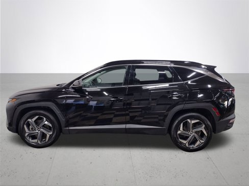 Used 2022 Hyundai Tucson Limited image 10
