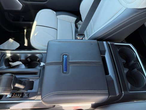 New 2025 Ford F150 Lightning Platinum image 14