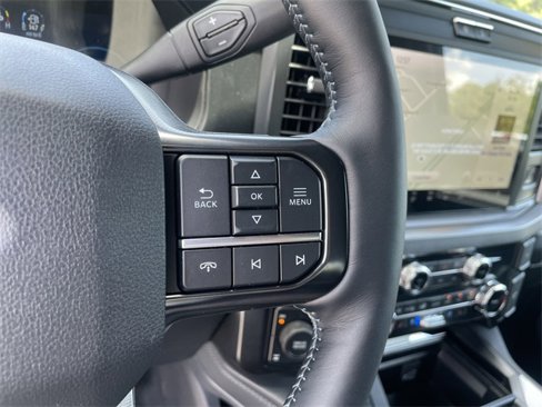 New 2025 Ford F250 Platinum image 28
