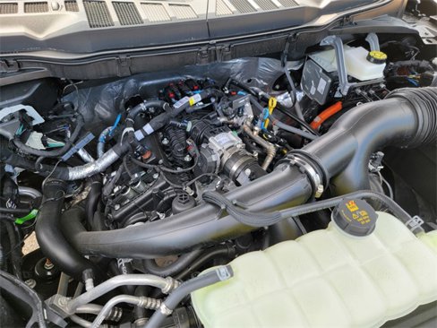 New 2025 Ford F150 XLT w/ Equipment Group 302A MID image 34