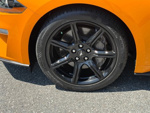 Used 2019 Ford Mustang GT w/ Black Accent Package image 16