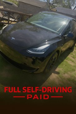 Used 2022 Tesla Model Y Performance image 1
