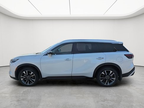 Used 2025 INFINITI QX60 Luxe w/ Cargo Package image 4