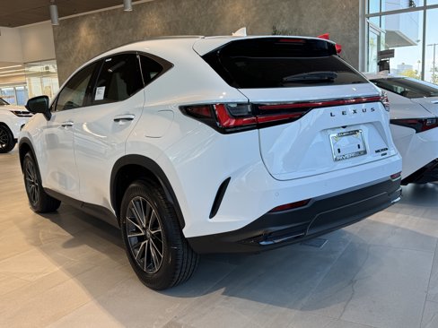 New 2026 Lexus NX 350h AWD w/ Premium Package image 10