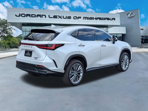 Used 2025 Lexus NX 300h AWD w/ Luxury Package image 9