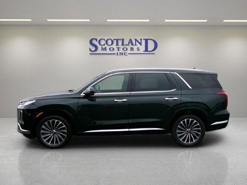 Used 2025 Hyundai Palisade Calligraphy image 1