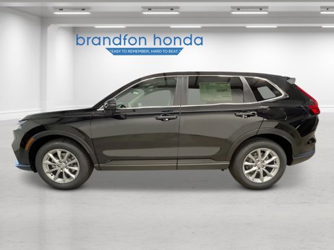 New 2026 Honda CR-V EX image 2