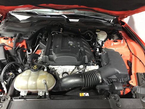 Used 2016 Ford Mustang Premium w/ Equipment Group 201A image 27