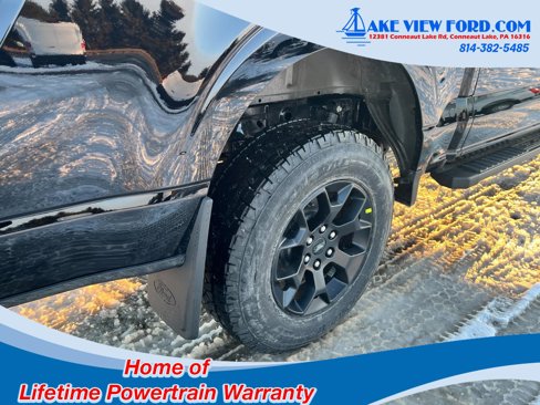 New 2025 Ford F150 STX w/ Equipment Group 201A FX4 image 24