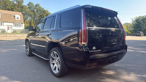 Used 2015 Cadillac Escalade Luxury image 7