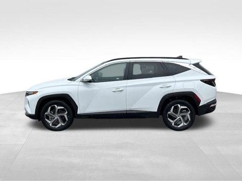 Used 2023 Hyundai Tucson Limited image 2