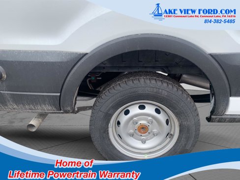 New 2025 Ford Transit 250 148 Medium Roof w/ Load Area Protection Package image 22