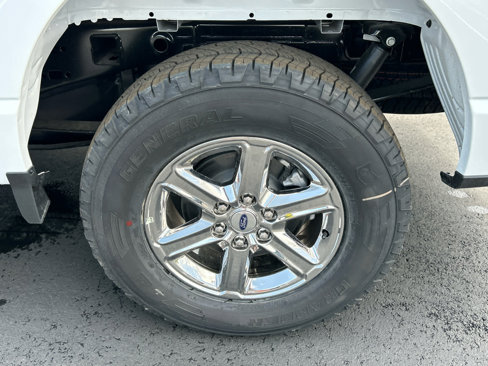New 2025 Ford F150 XLT w/ Equipment Group 301A Standard image 15