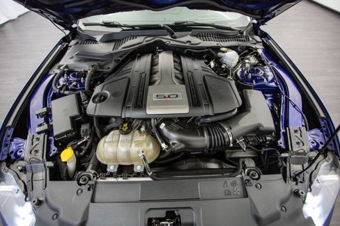 Used 2018 Ford Mustang GT Premium w/ Equipment Group 401A image 13