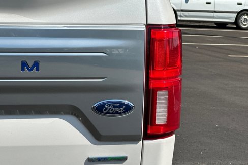 Used 2019 Ford F150 Platinum image 48